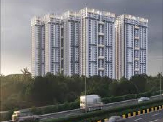 Anvitha – Prasura (High Nine)